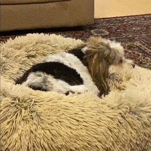 Meet your Posher, Behram